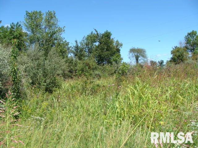 0 Bandyville Road Herrin, IL 62948 - Photo 7 of 9 Gallery Image 7