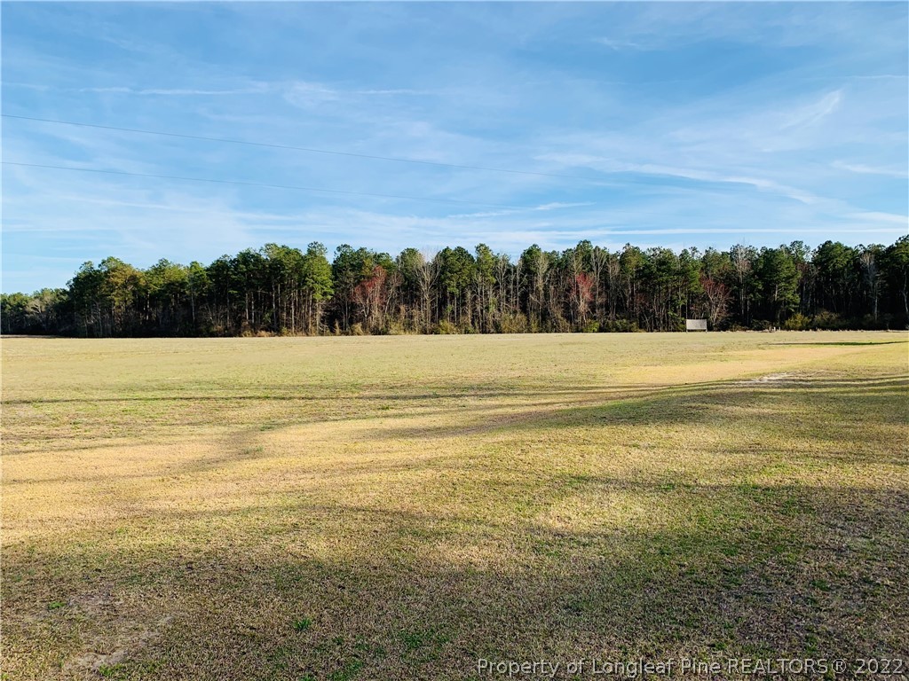 2715 Will Inman Road Tabor City, NC 28463 - Photo 47 of 47 Gallery Image 47
