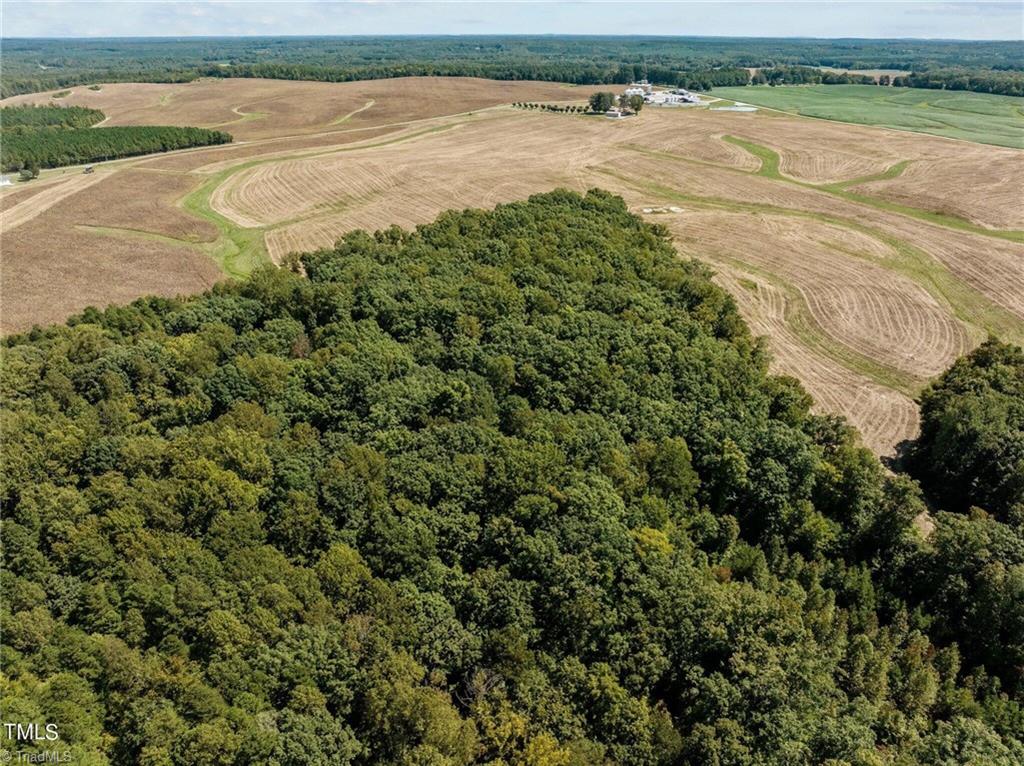0 New Mayo Drive Roxboro, NC 27574 - Photo 4 of 14