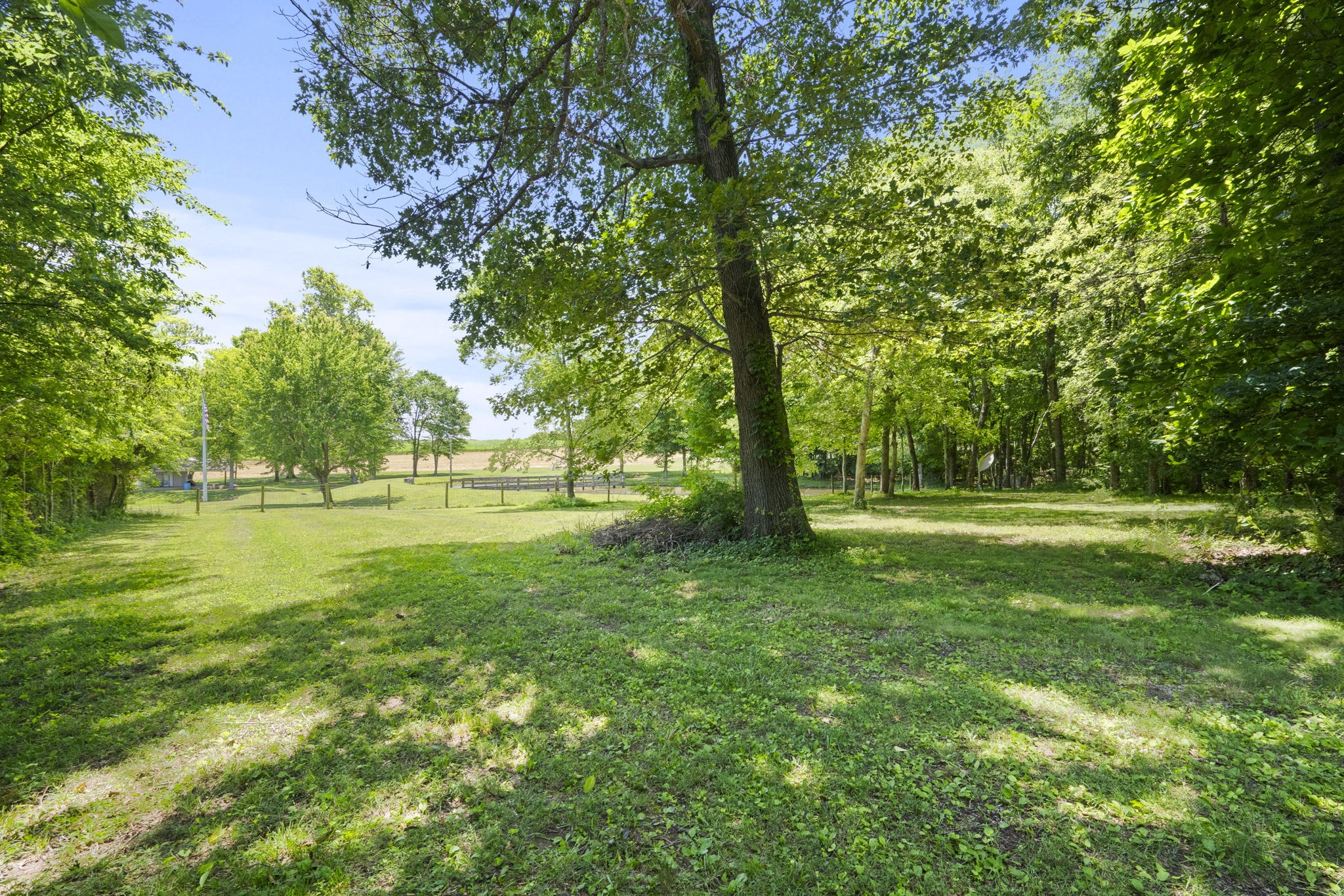 4266 Dot Road Springfield, TN 37172 - Photo 26 of 70 a view of outdoor space with trees all around