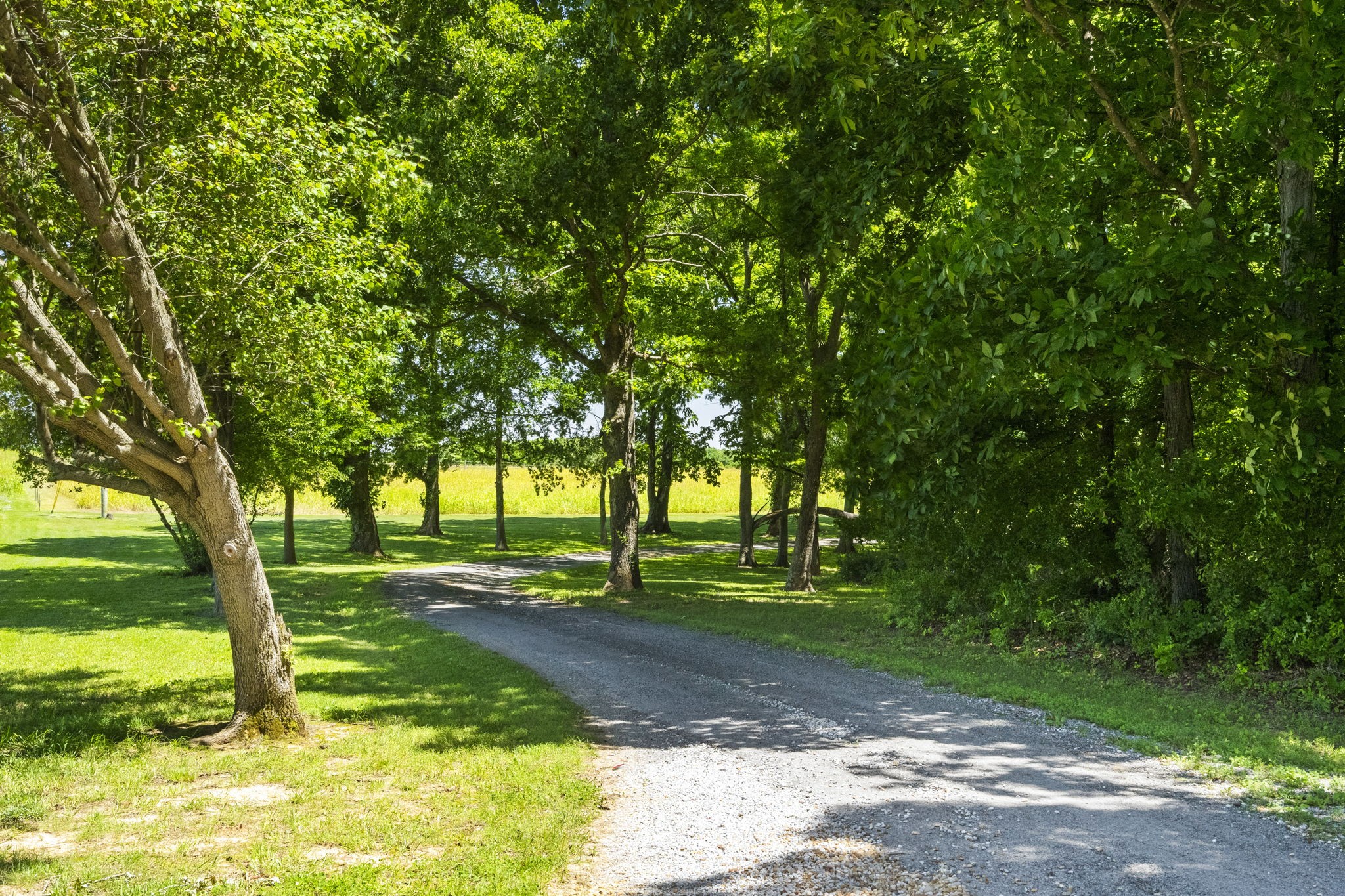 4266 Dot Road Springfield, TN 37172 - Photo 4 of 70 a view of a yard with a tree