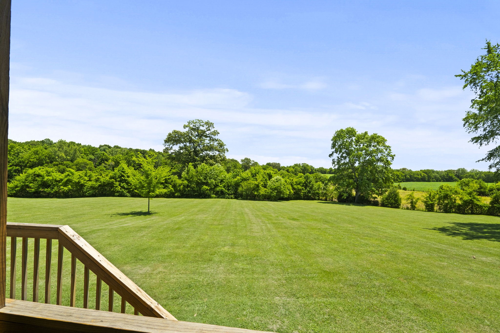 4266 Dot Road Springfield, TN 37172 - Photo 63 of 70 a view of a field of grass and trees