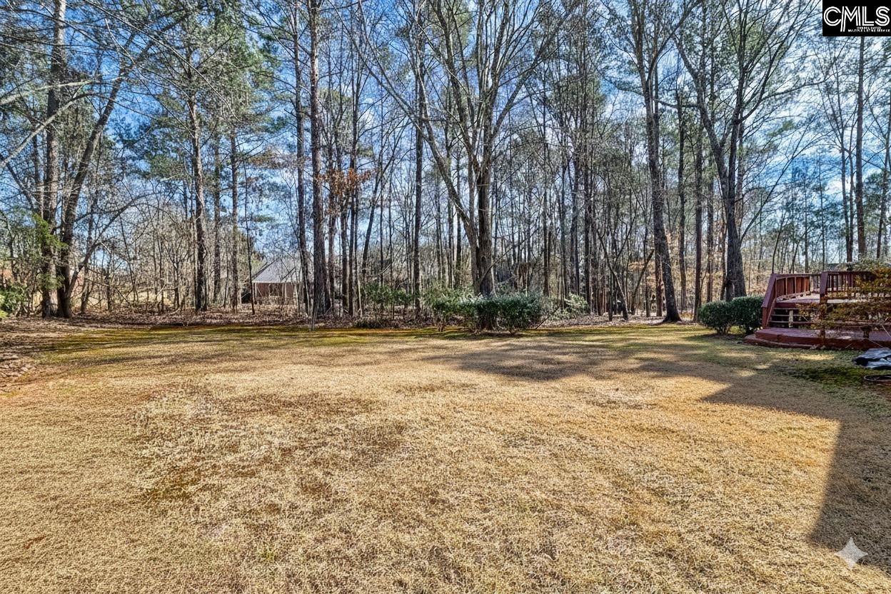 1009 Steeple Ridge Road Irmo, SC 29063 - Photo 3 of 31
