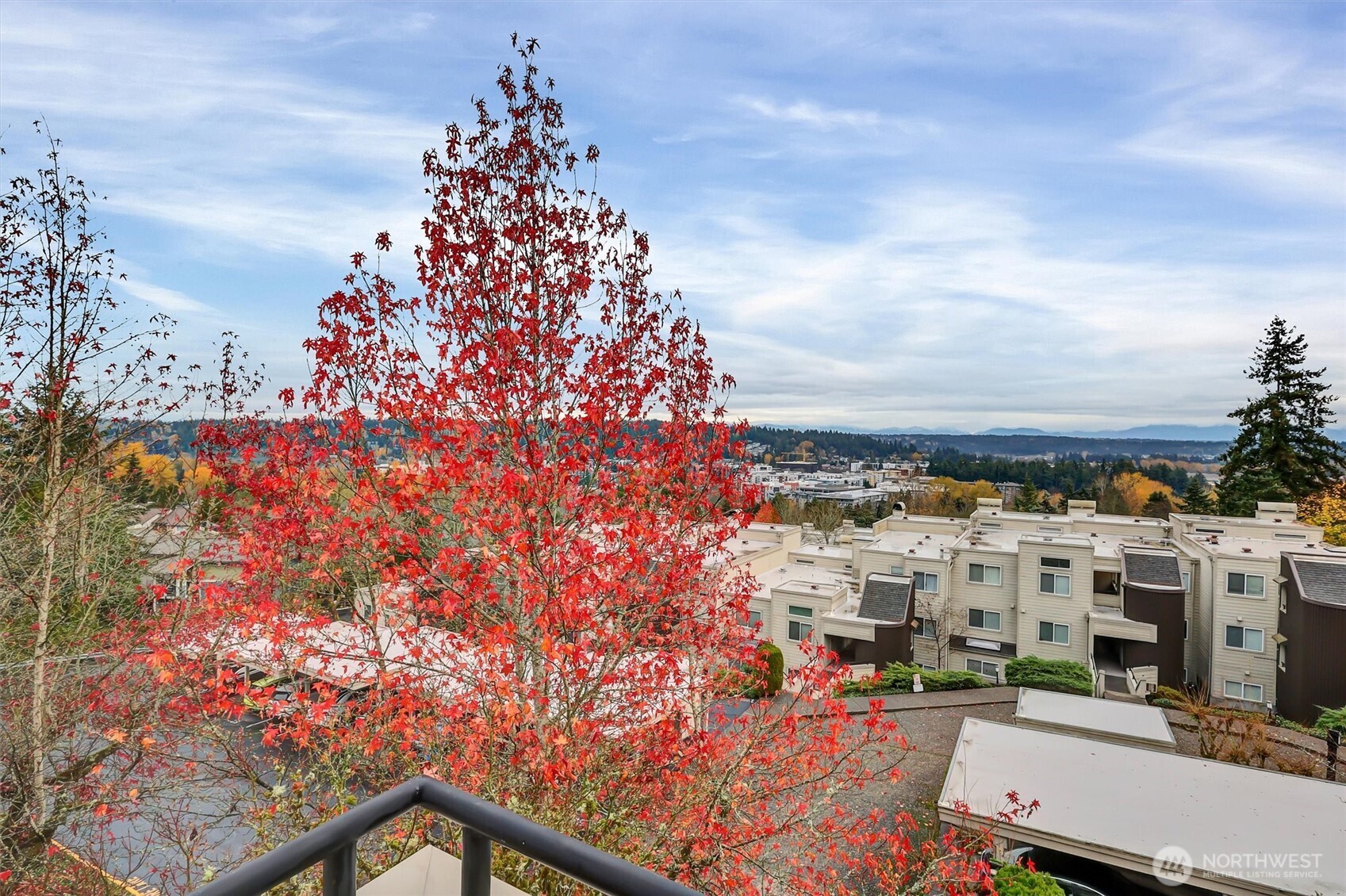 7347 Old Redmond Road, Unit 119 Redmond, WA 98052 - Photo 11 of 19