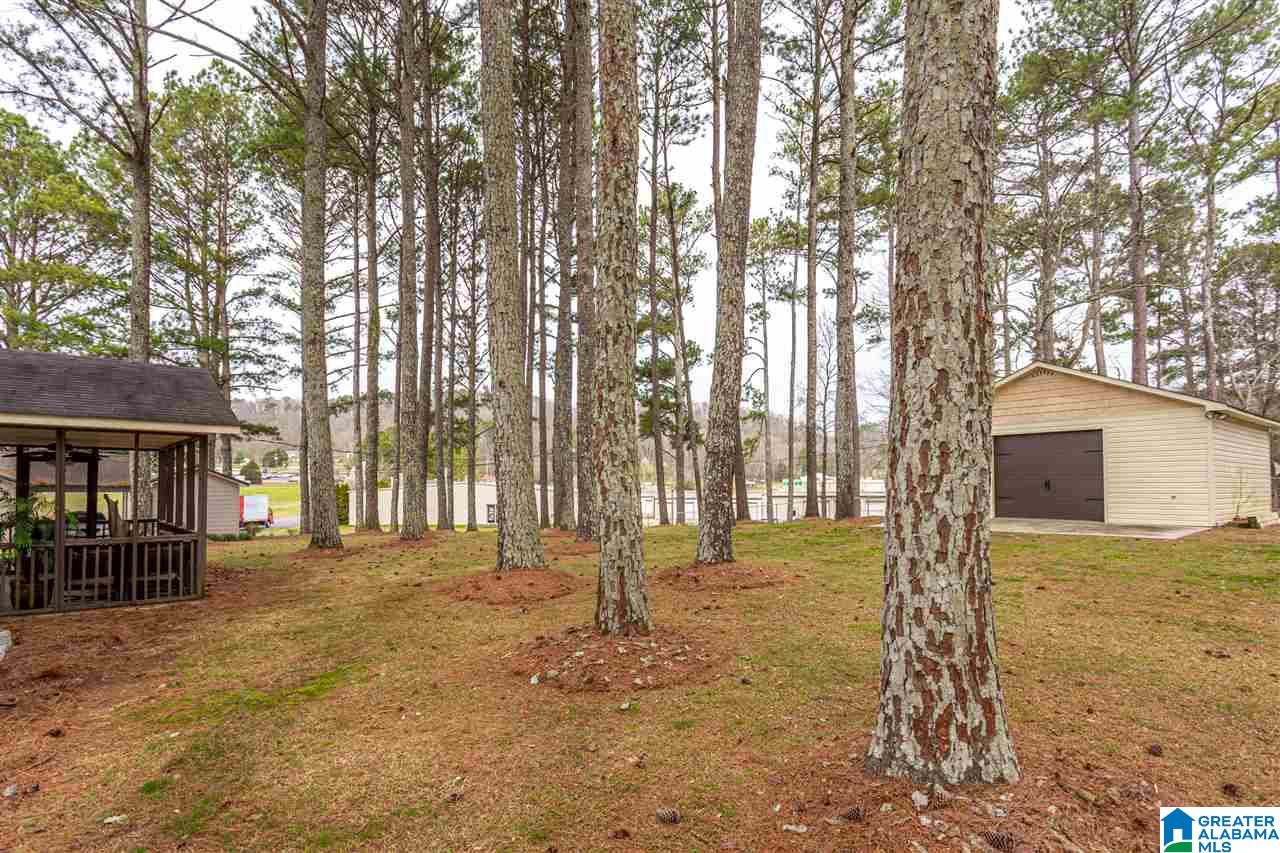205 20th Street Northeast Oneonta, AL 35121 - Photo 32 of 36