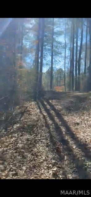40 West County Road Billingsley, AL 36006 - Photo 9 of 36 Gallery Image 9