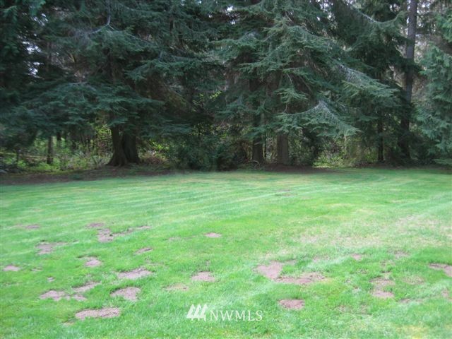 221 Cub Road Port Townsend, WA 98368 - Photo 5 of 13 Gallery Image 5