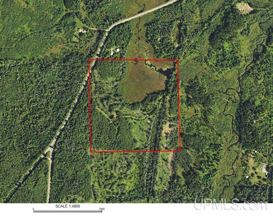 601 County Road 601 Road Republic, MI 49879 - Photo 54 of 60