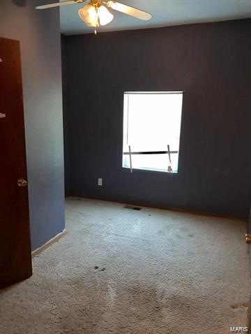 812 Springfield Road Gillespie, IL 62033 - Photo 9 of 22
