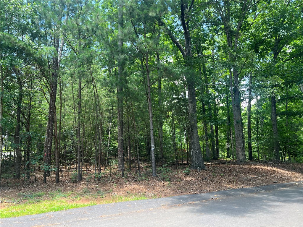 0 Promontory Ridge, Unit LOT 45 STILLWATER Seneca, SC 29672 - Photo 17 of 26