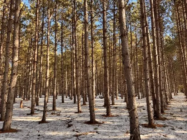 $35,999 | Tbd Pine Cone Drive, Menahga, MN 56464