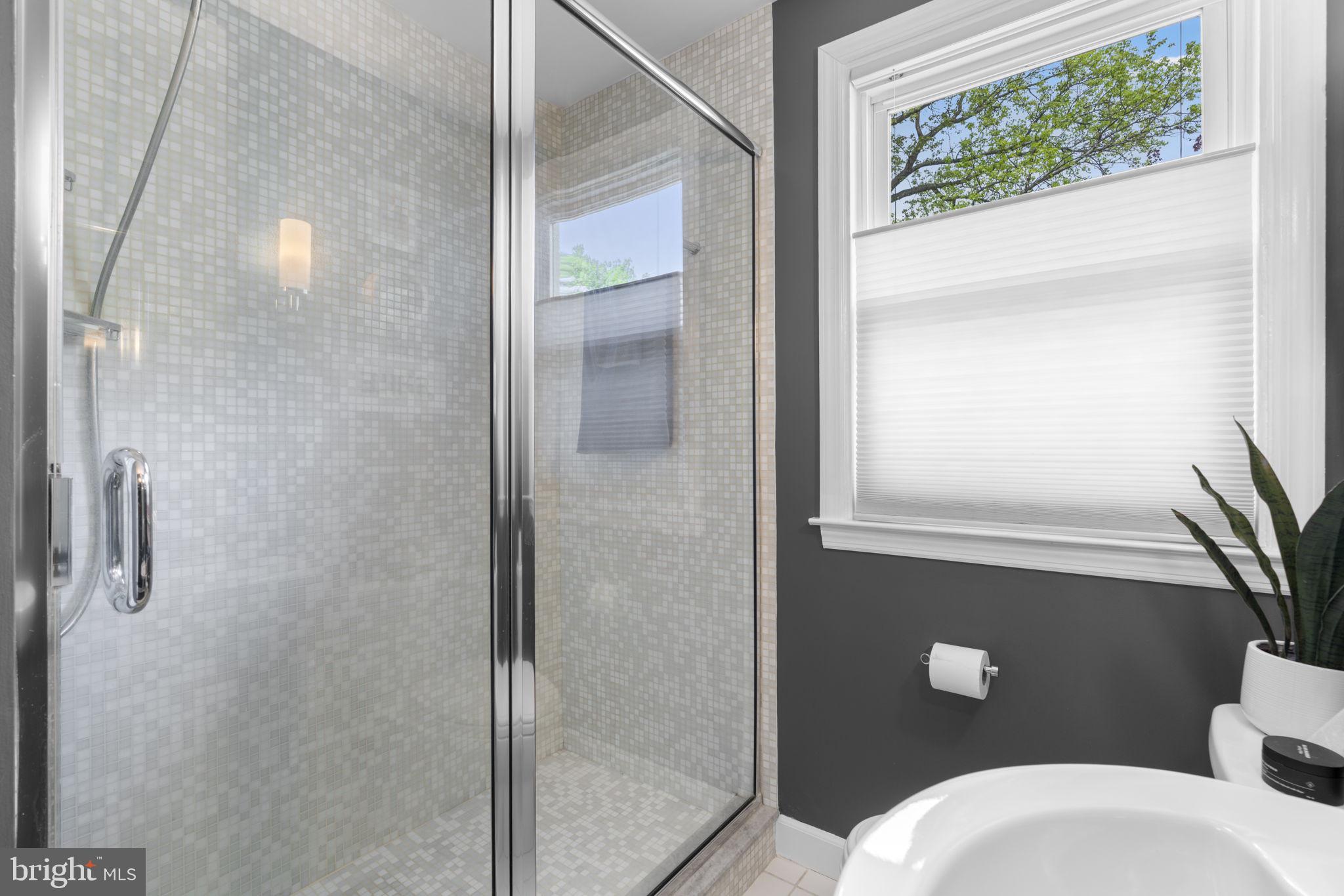 79 Murdock Road Baltimore, MD 21212 - Photo 19 of 38 Modern shower with natural light.