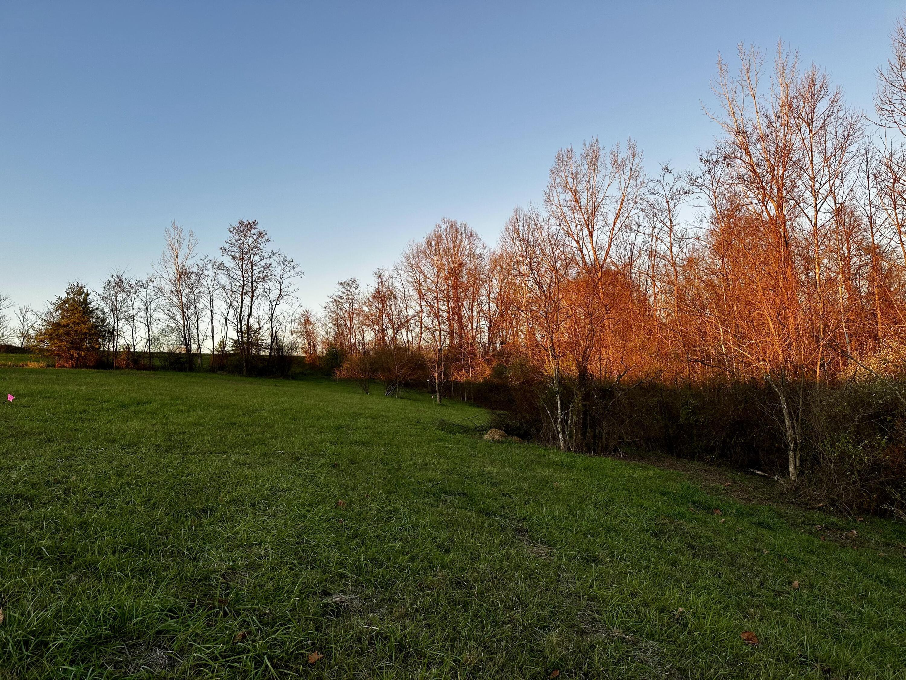 7408 Dutch Ridge Road, Unit TRACT 3 AT DUTCH RIDGE) New Straitsville, OH 43766 - Photo 26 of 29 20241111_220242609_iOS