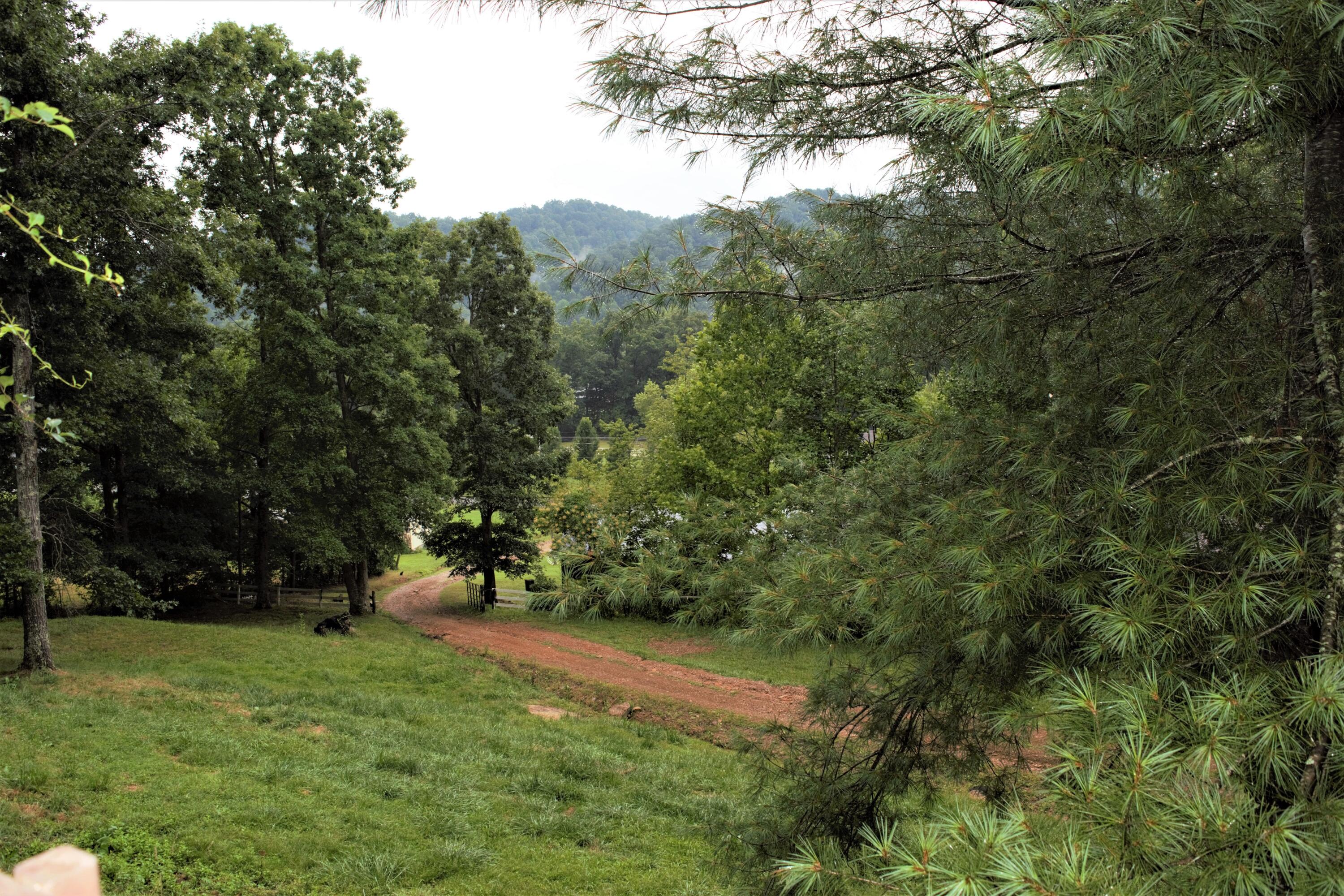 778 Rock Fork Road Morehead, KY 40351 - Photo 25 of 25 view main 8-8