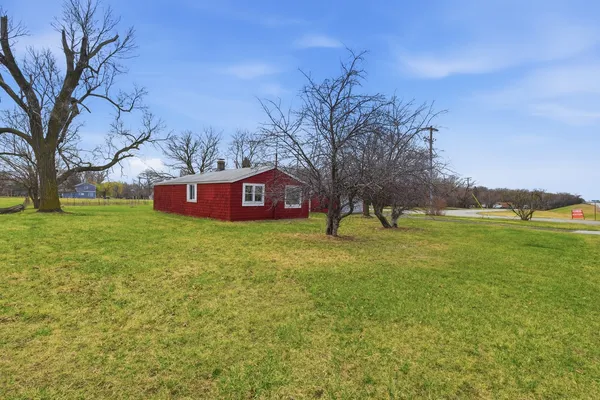 a big yard with lots of tress in it