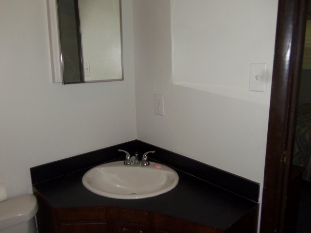 8231 Hurricane Road Bay Minette, AL 36507 - Photo 16 of 17 Master bath sink