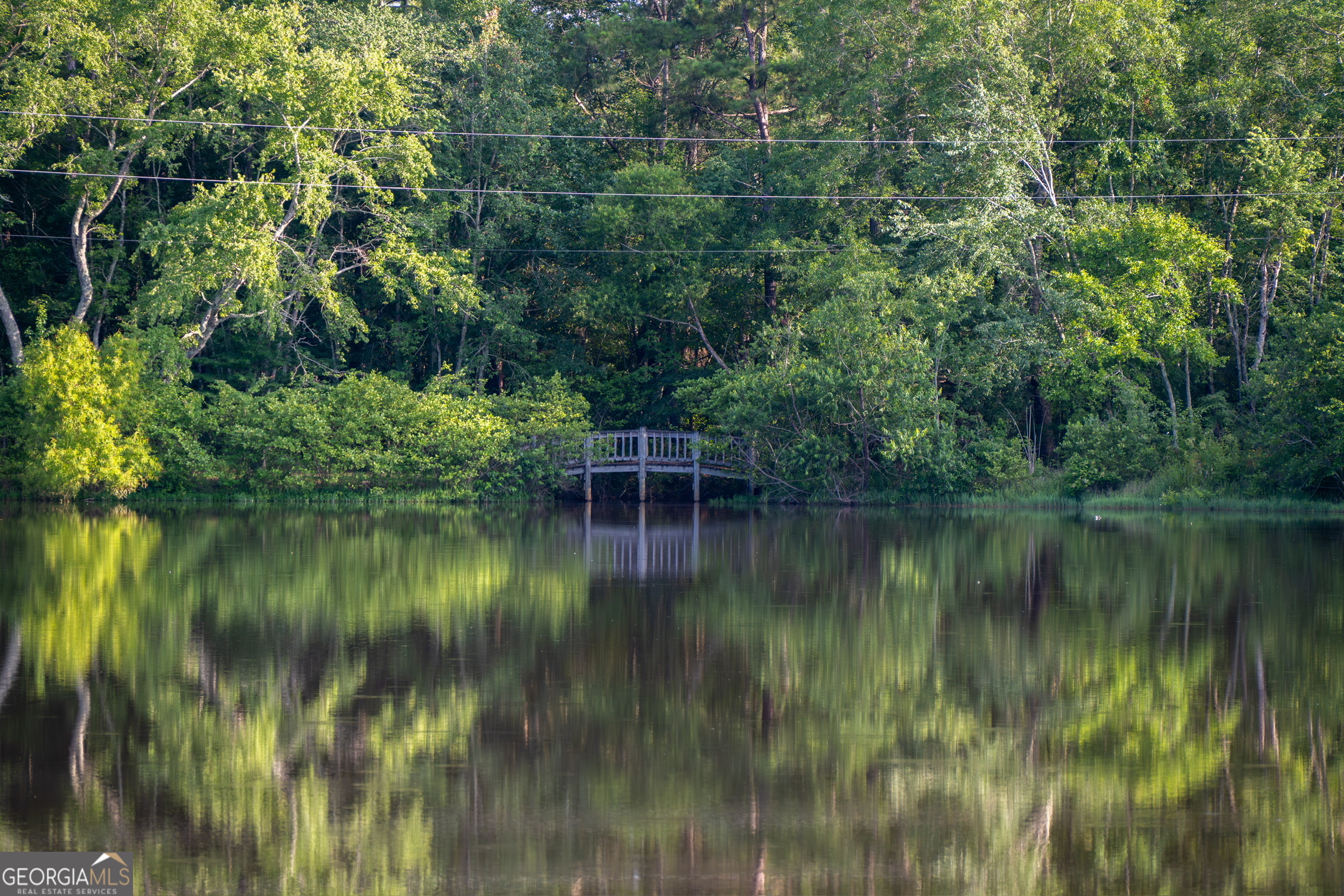 1940 Horne Road Eastman, GA 31023 - Photo 12 of 94 a view of a lake in middle of forest