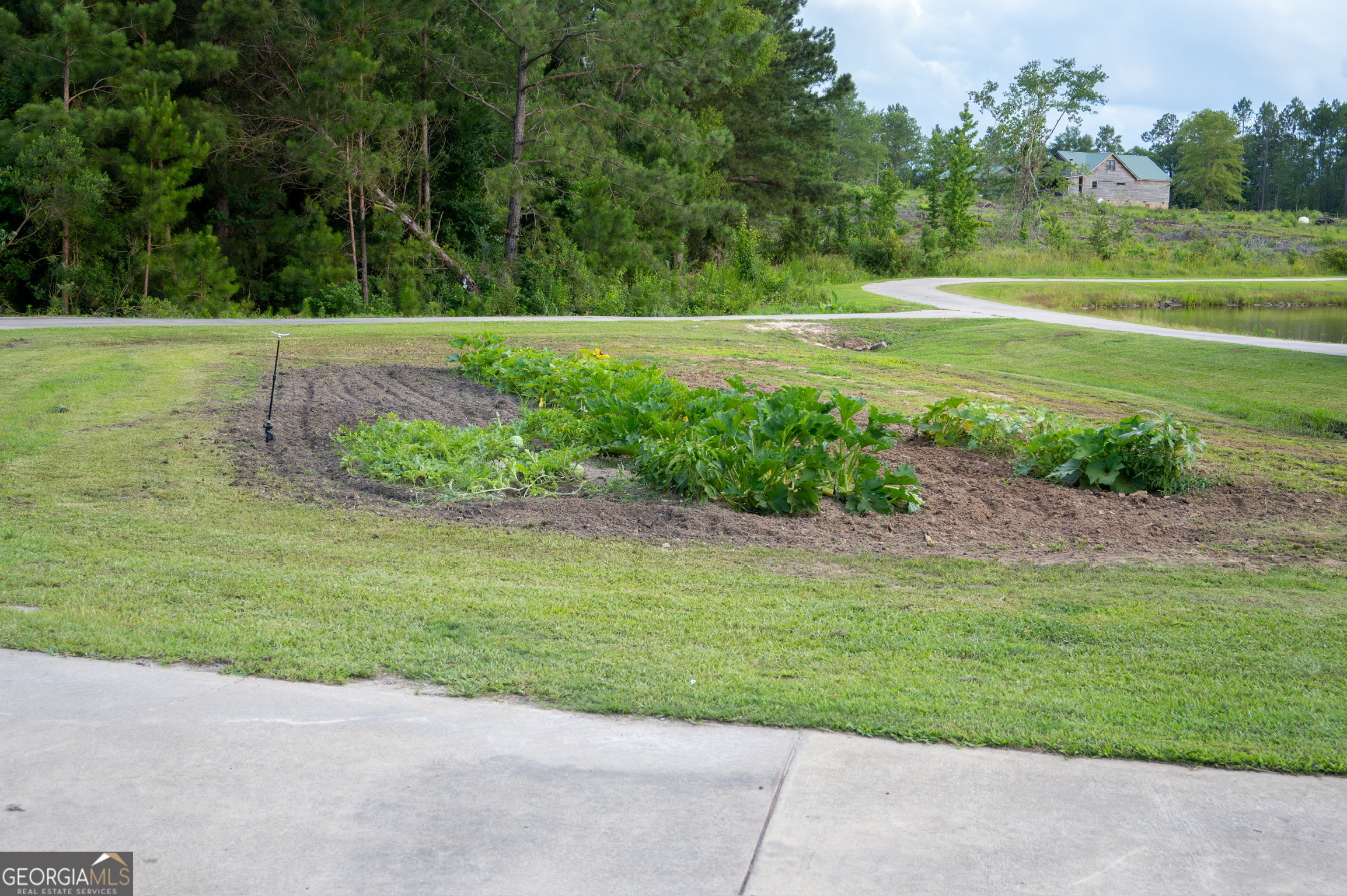 1940 Horne Road Eastman, GA 31023 - Photo 64 of 94 a view of a yard with an trees