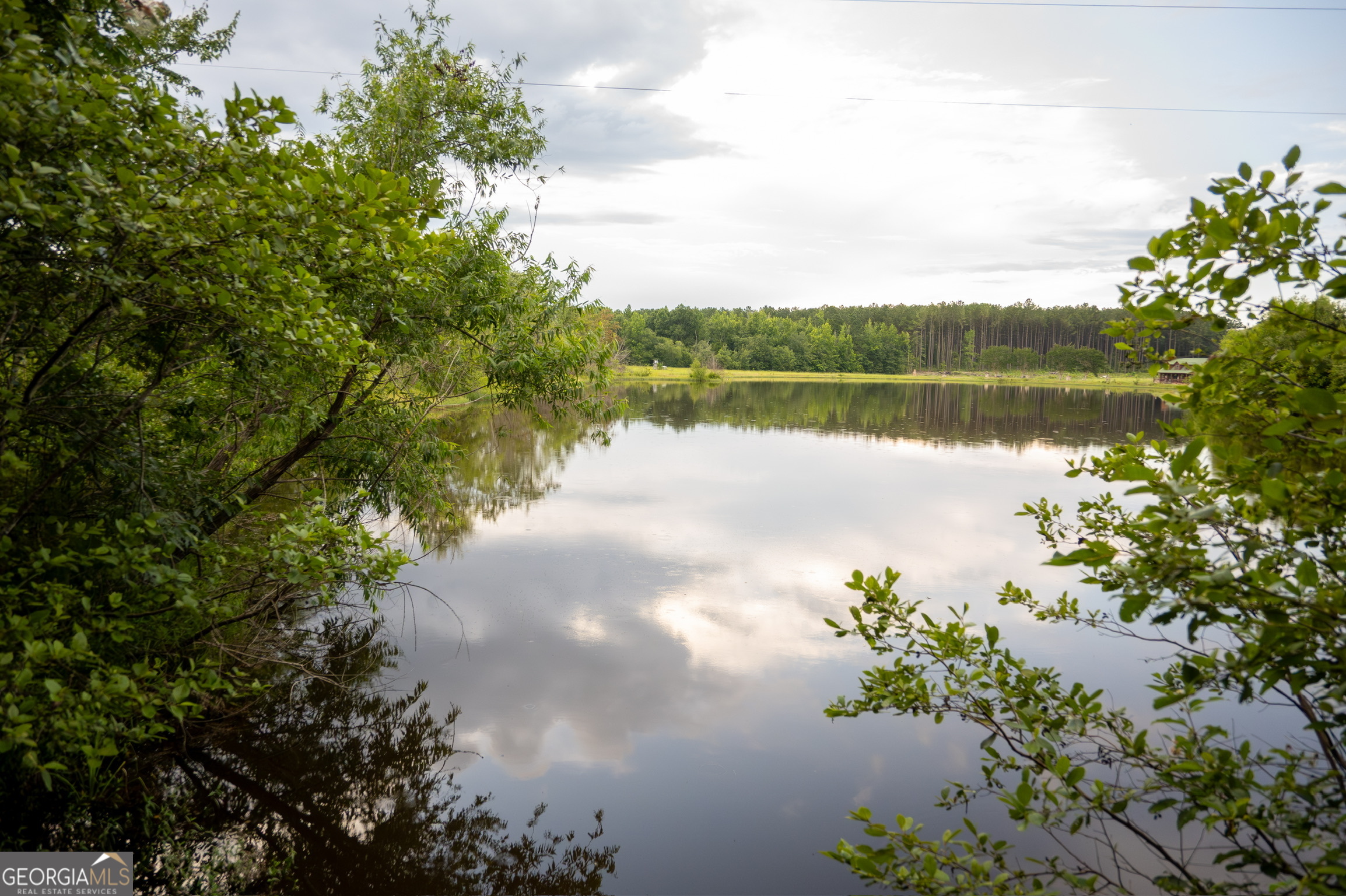 1940 Horne Road Eastman, GA 31023 - Photo 65 of 94 a view of a lake with a lake