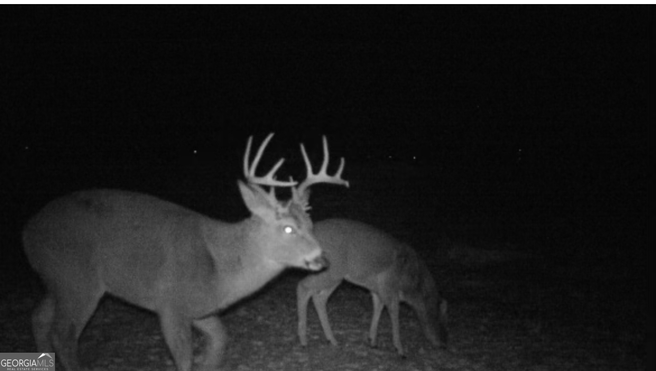 1940 Horne Road Eastman, GA 31023 - Photo 78 of 94