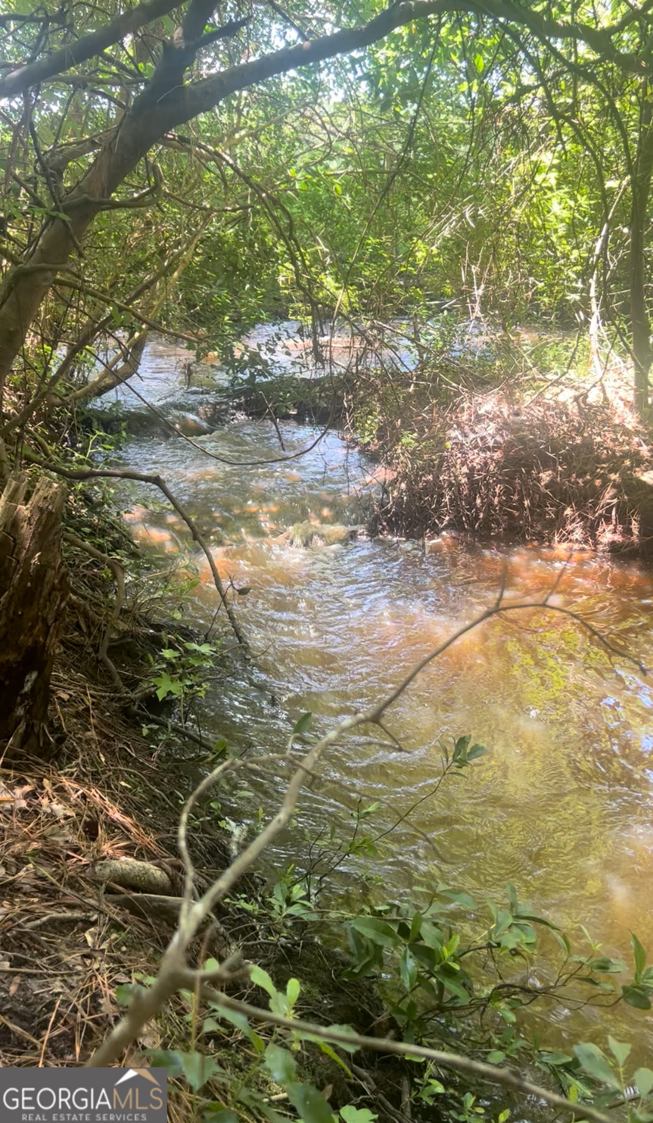 1940 Horne Road Eastman, GA 31023 - Photo 80 of 94