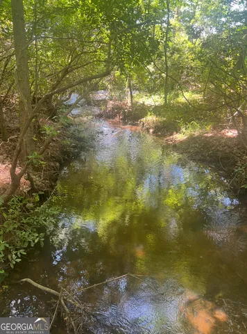 $747,000 | 1940 Horne Road, Eastman, GA 31023