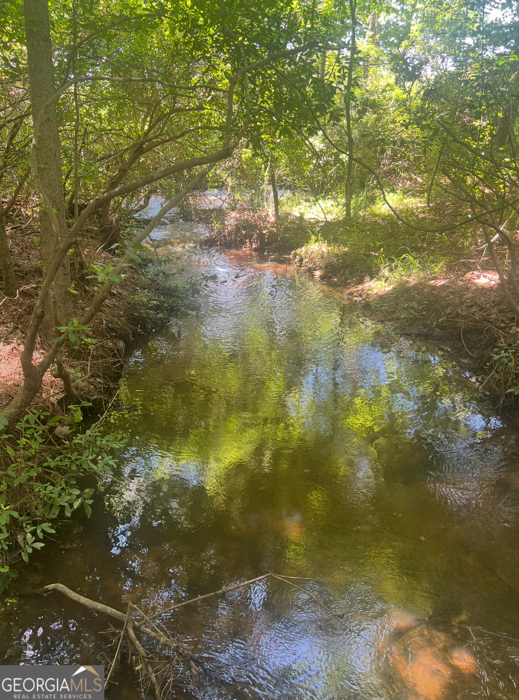 1940 Horne Road Eastman, GA 31023 - Photo 81 of 94