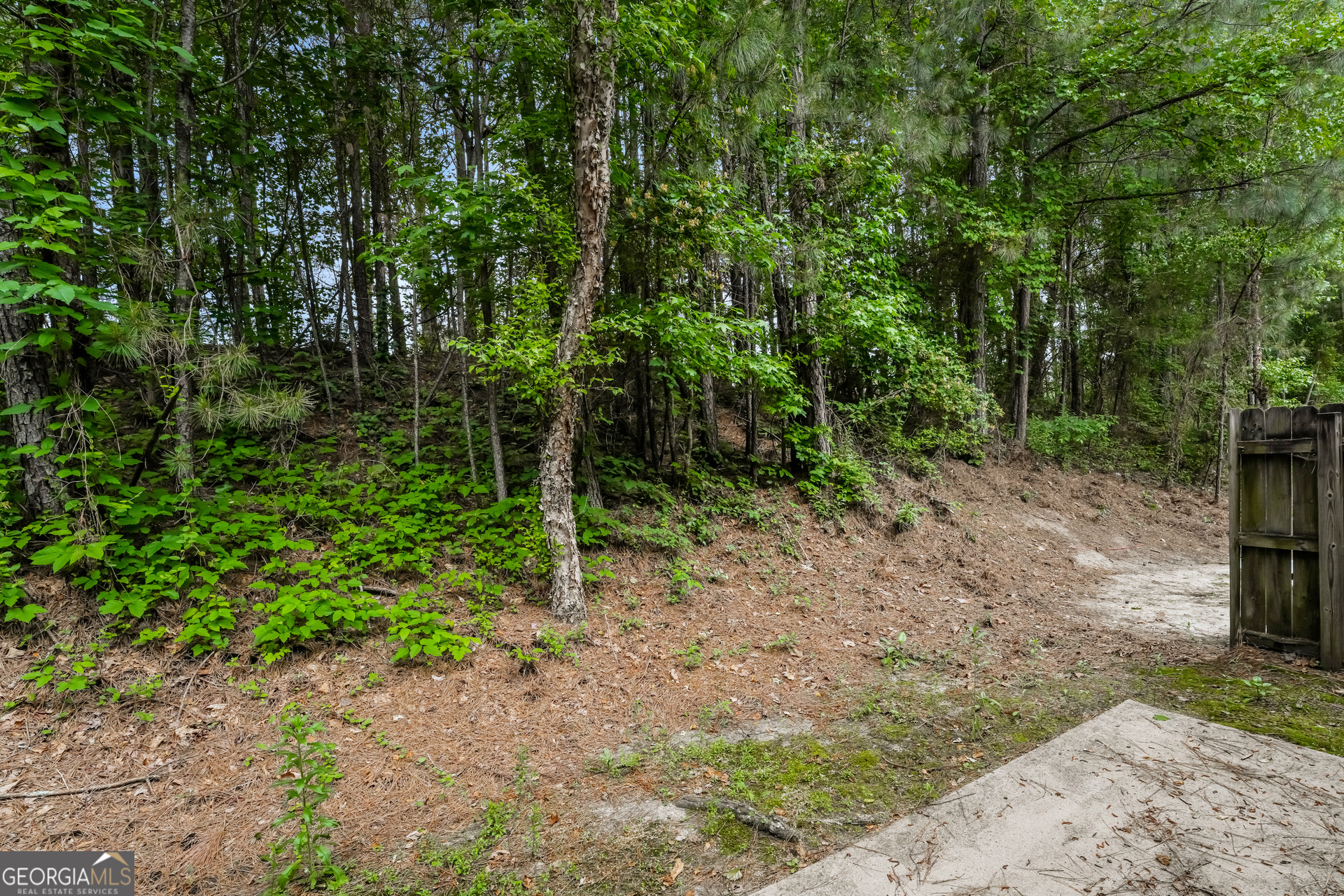1259 Chinon Point Lithonia, GA 30058 - Photo 15 of 15 a view of a forest filled with trees