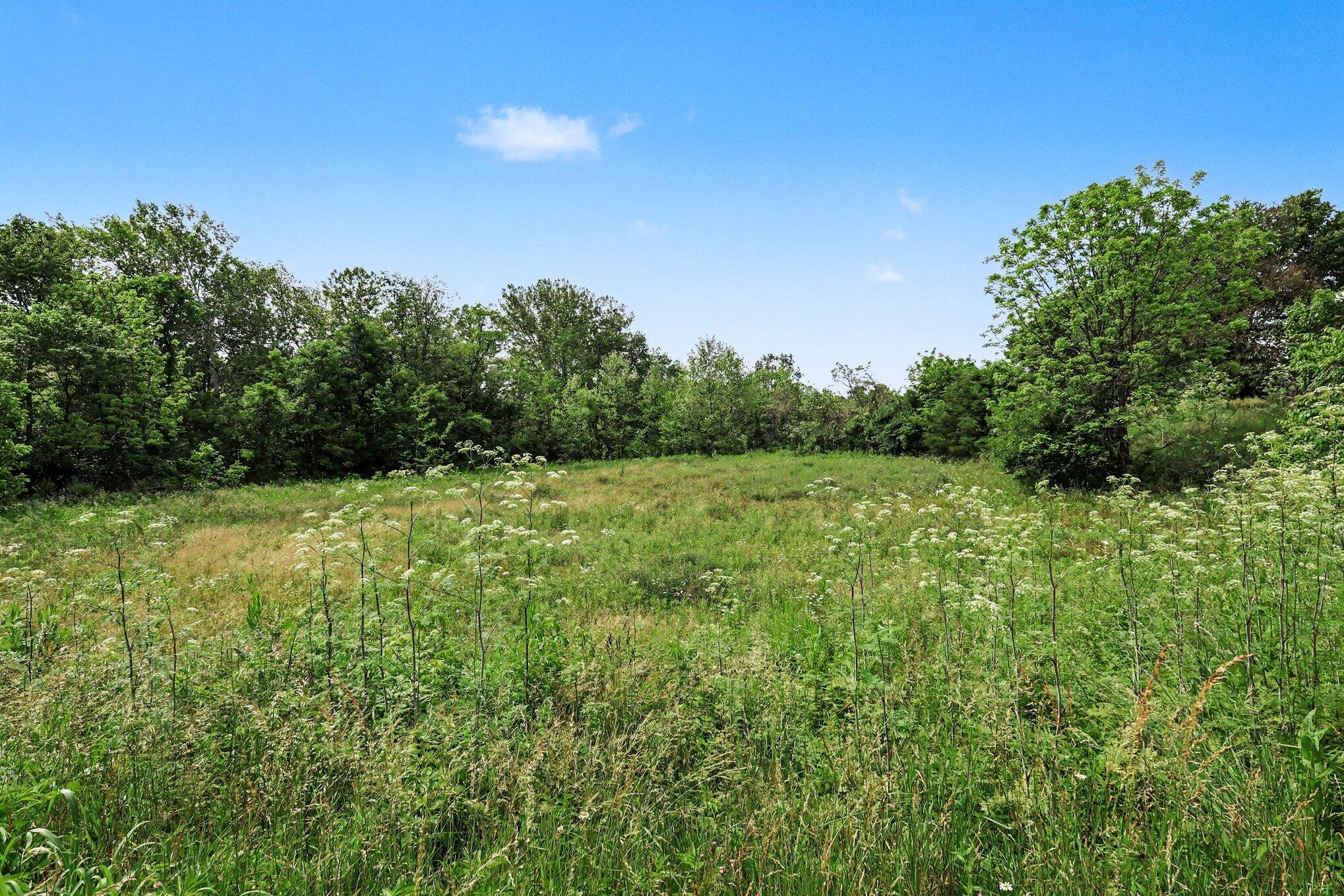 159 & Grimes Road Falmouth, KY 41040 - Photo 9 of 22