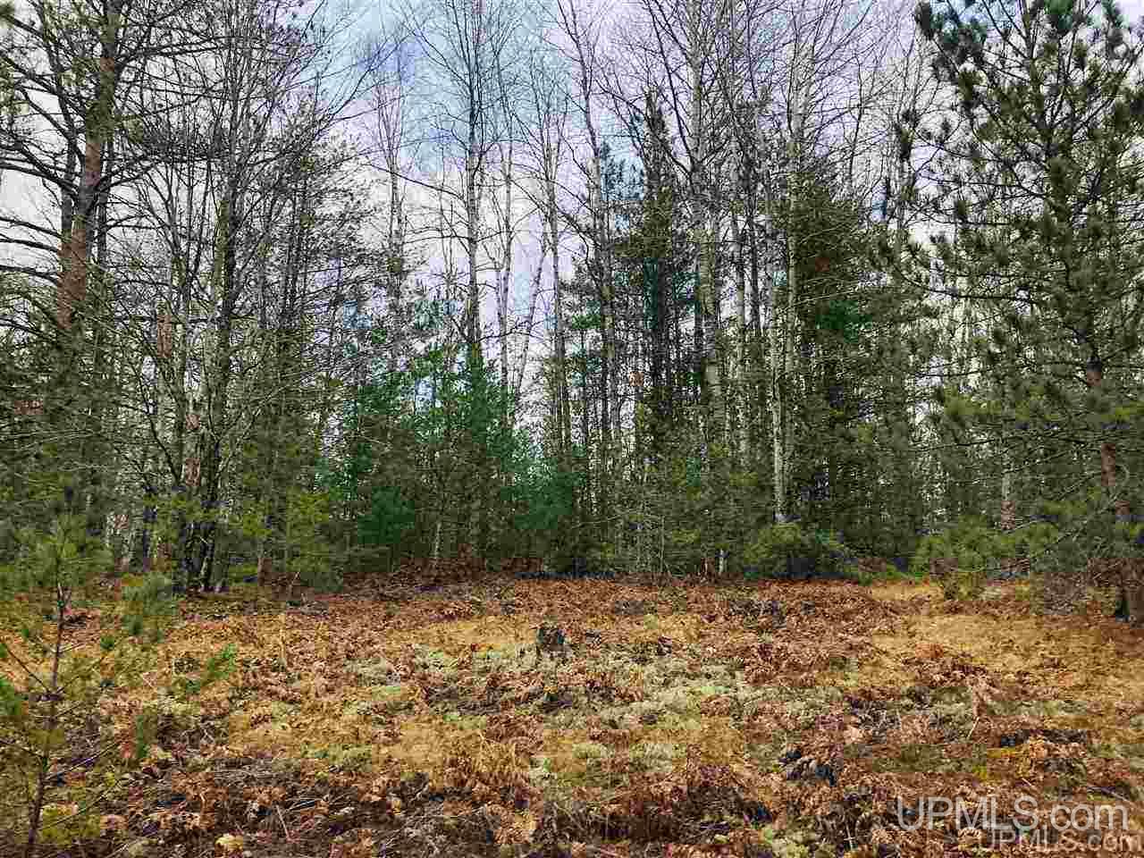 Tbd Mirror Lake Road Munising, MI 49862 - Photo 16 of 19