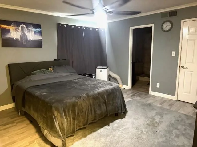 a bedroom with a bed and a walk in closet