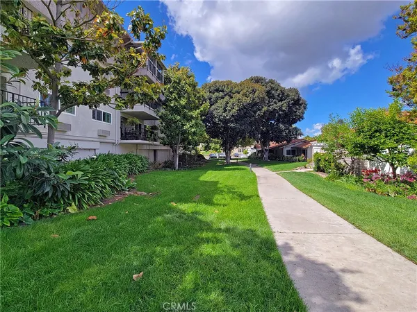 a view of a yard with plants and a large tree