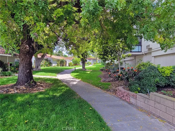 a view of a garden with a tree