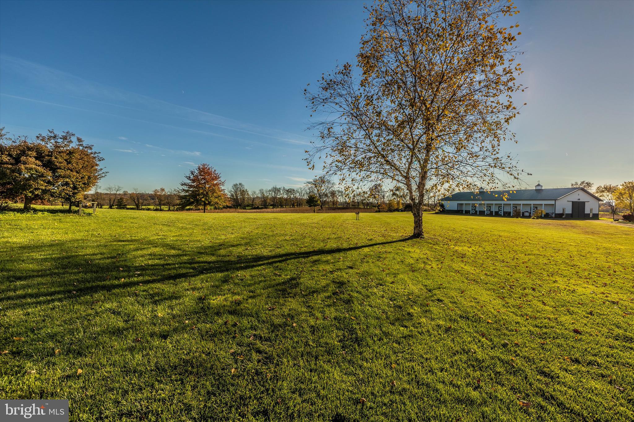9455 Longs Mill Road Rocky Ridge, MD 21778 - Photo 53 of 70 1 acre backyard - plenty of room for pool & sports