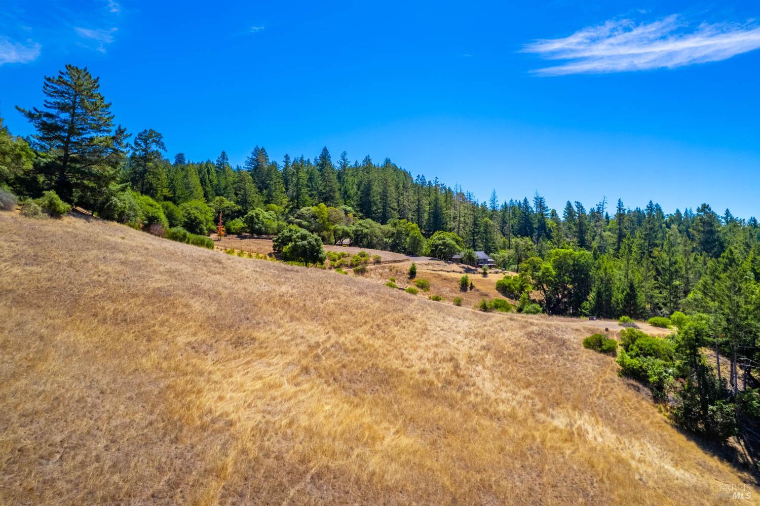 11901 Clow Ridge Road Philo, CA 95466 - Photo 48 of 55 Gallery Image 48