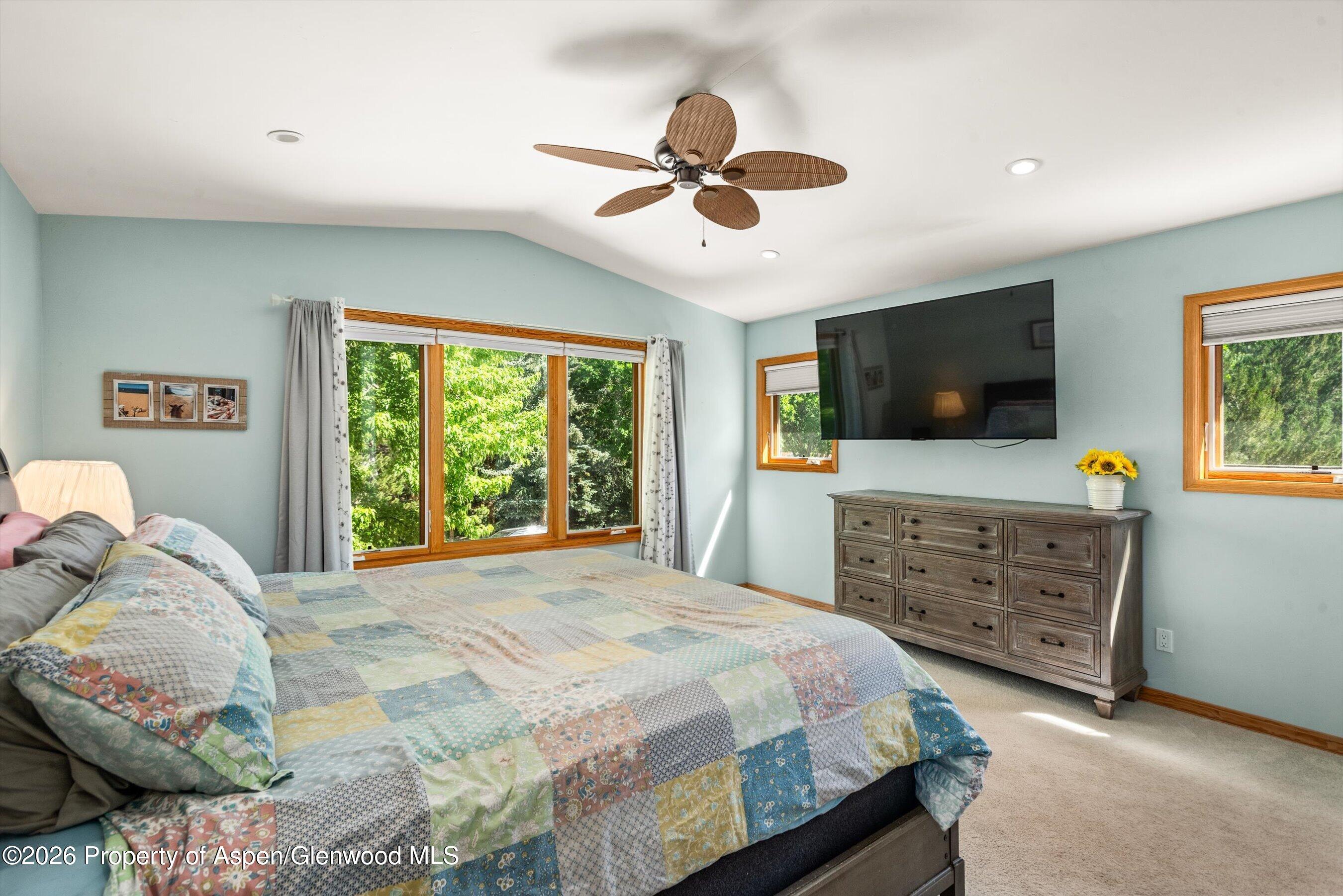 63 Badger Road Carbondale, CO 81623 - Photo 12 of 27 24-63Badger_06112026024