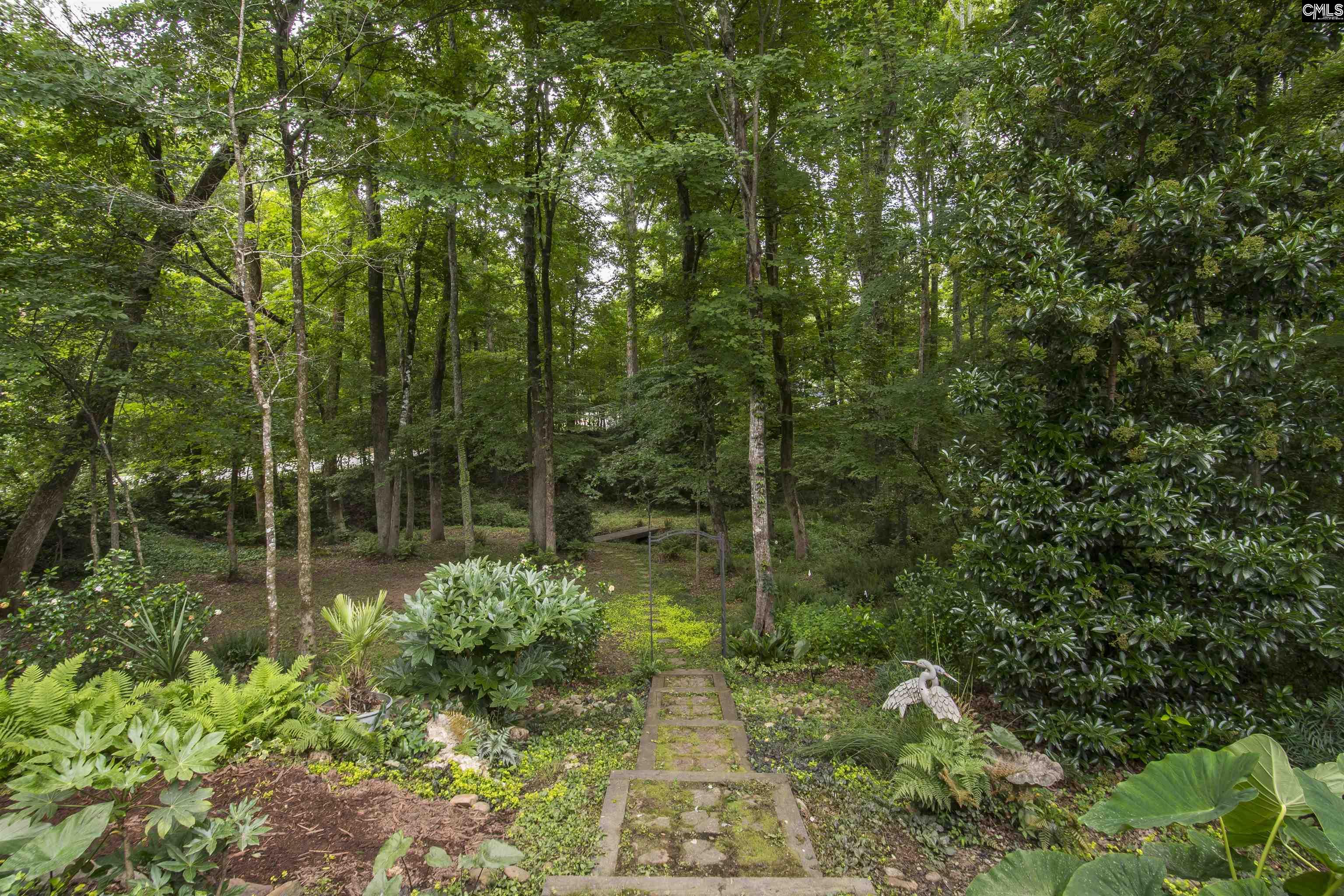 101 Woolbright Avenue Chapin, SC 29036 - Photo 52 of 61