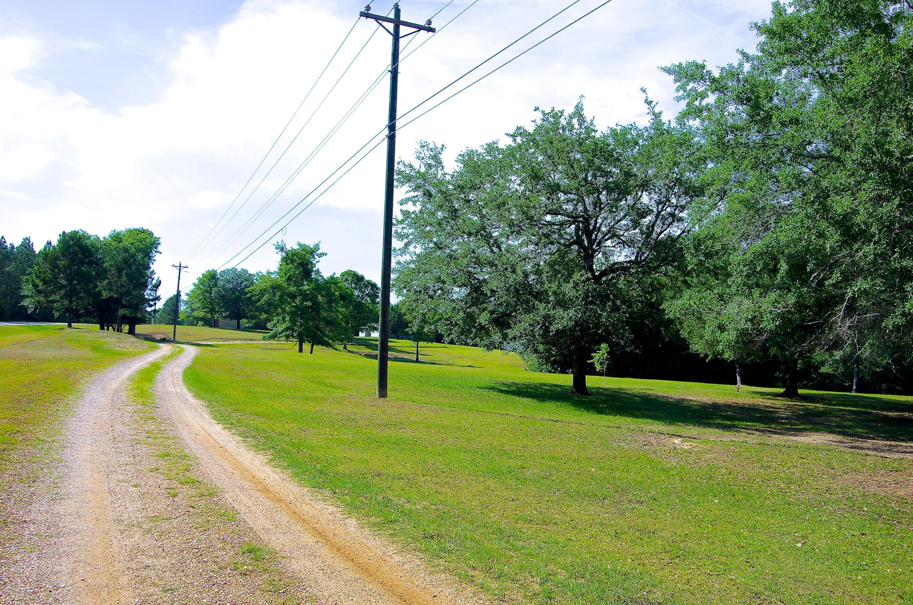 13628 Wolf River Road Gulfport, MS 39503 - Photo 12 of 47 Drive way to your Home