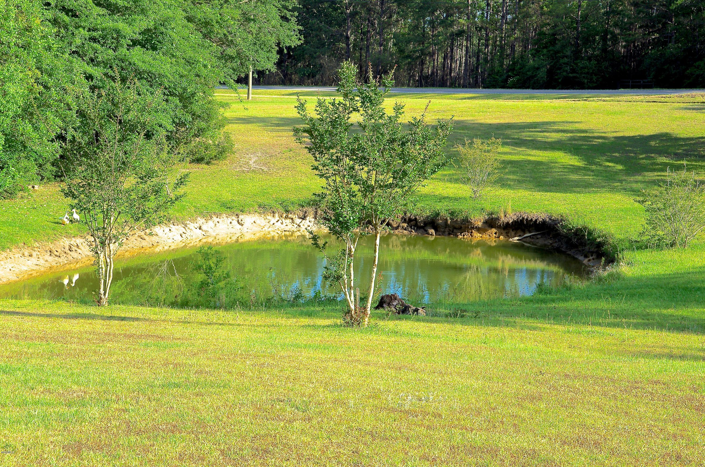 13628 Wolf River Road Gulfport, MS 39503 - Photo 45 of 47 Small Pond