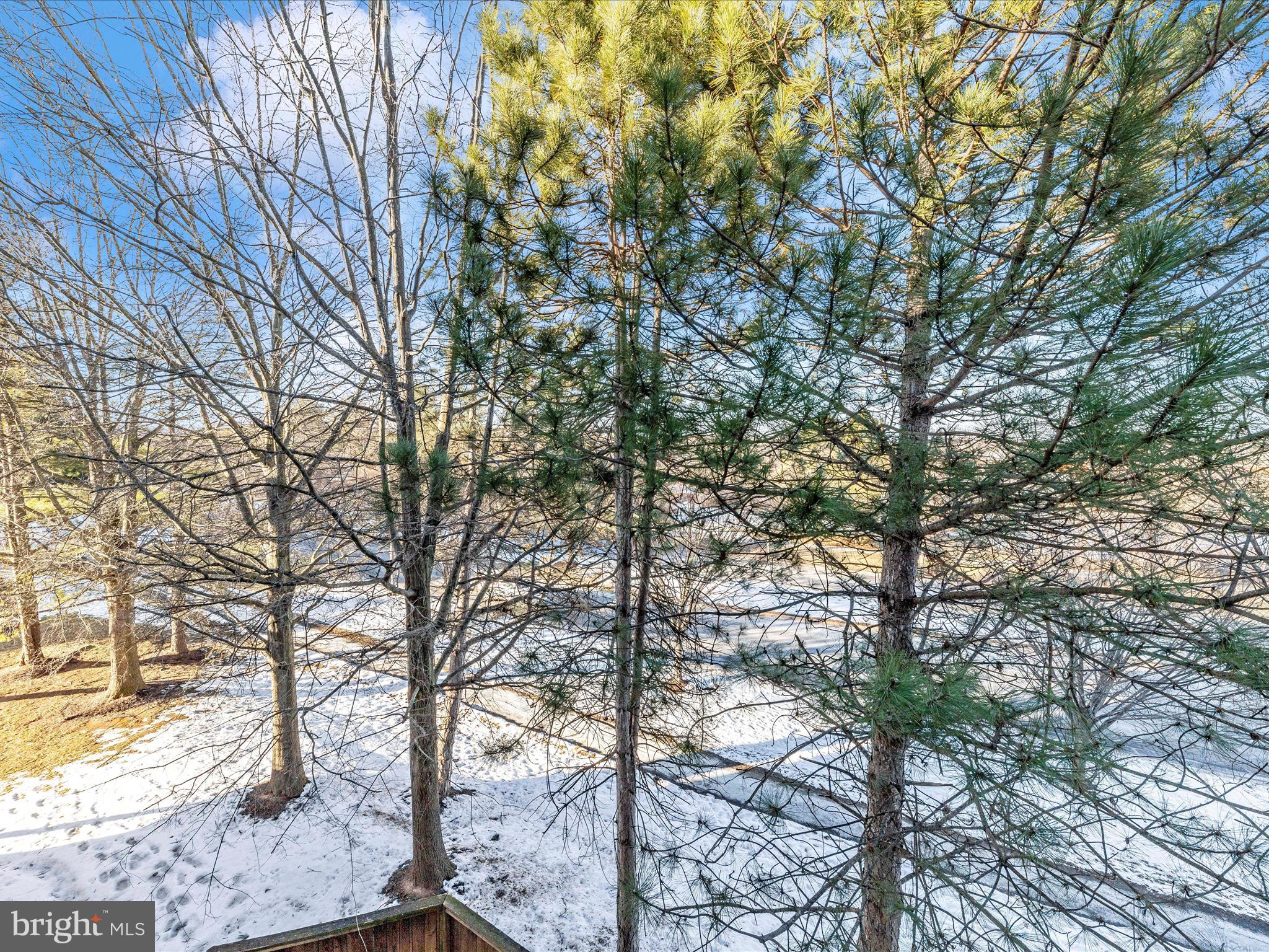 12705 Found Stone Road, Unit 7302 Germantown, MD 20876 - Photo 39 of 54 Balcony View