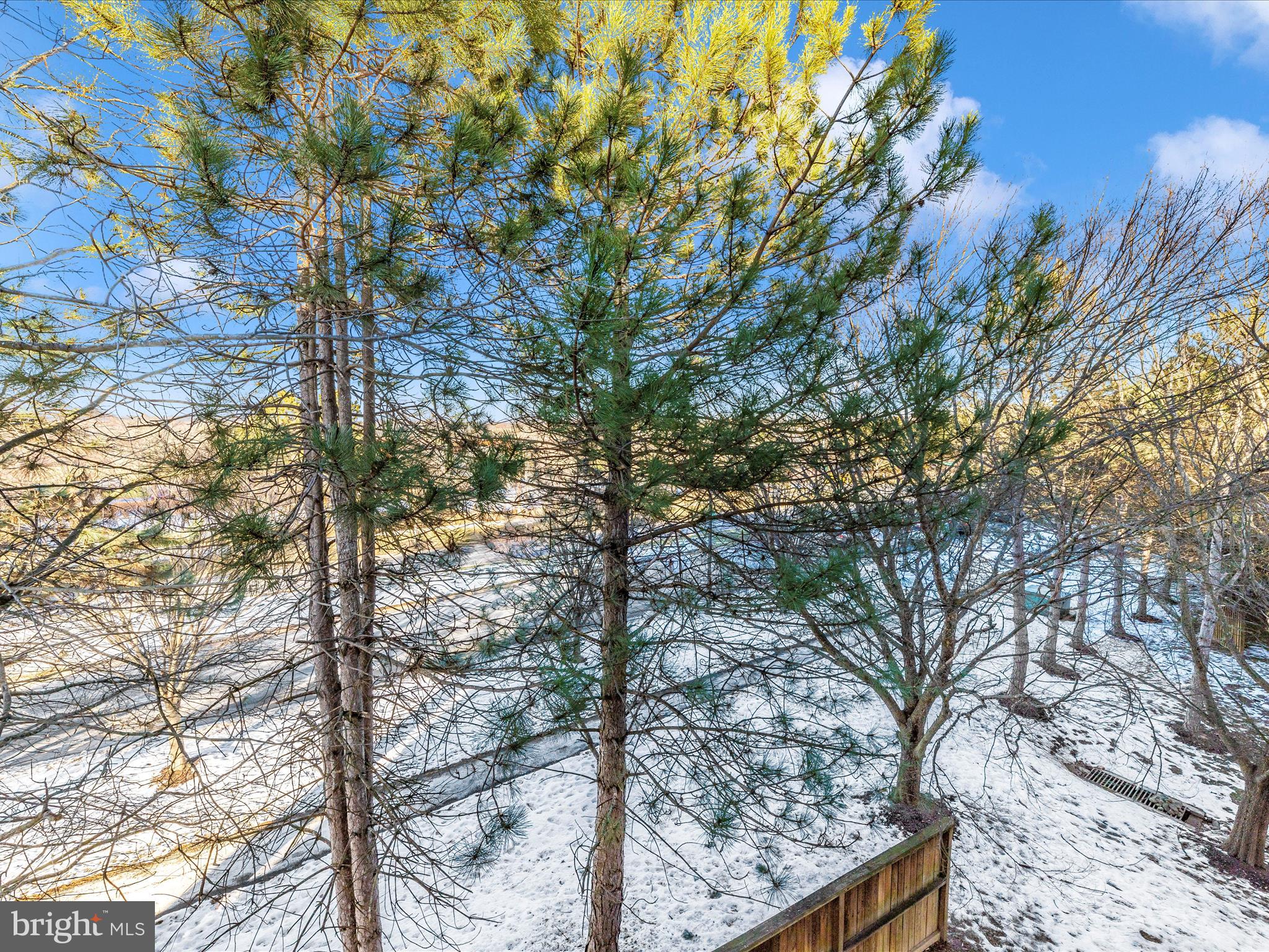 12705 Found Stone Road, Unit 7302 Germantown, MD 20876 - Photo 40 of 54 Balcony View