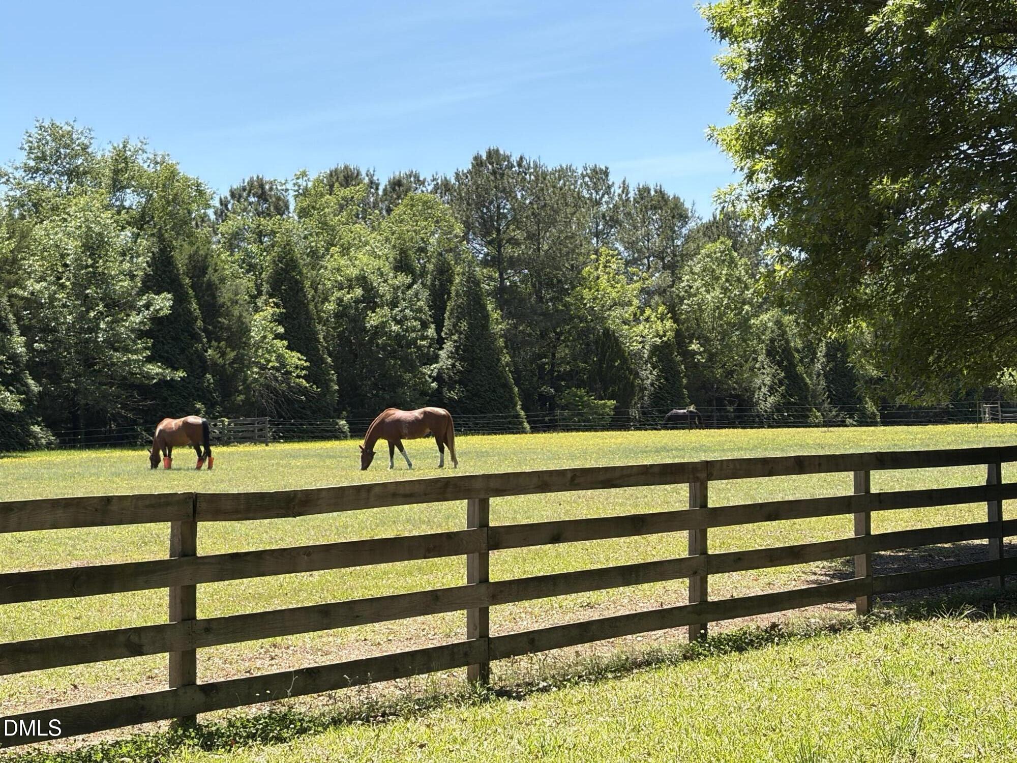 220 Jordan Narron Road Selma, NC 27576 - Photo 5 of 87 IMG_7184