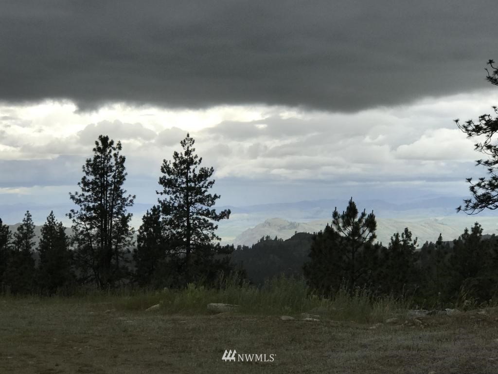 45 Wild Cat Road Tonasket, WA 98855 - Photo 3 of 24 Gallery Image 3