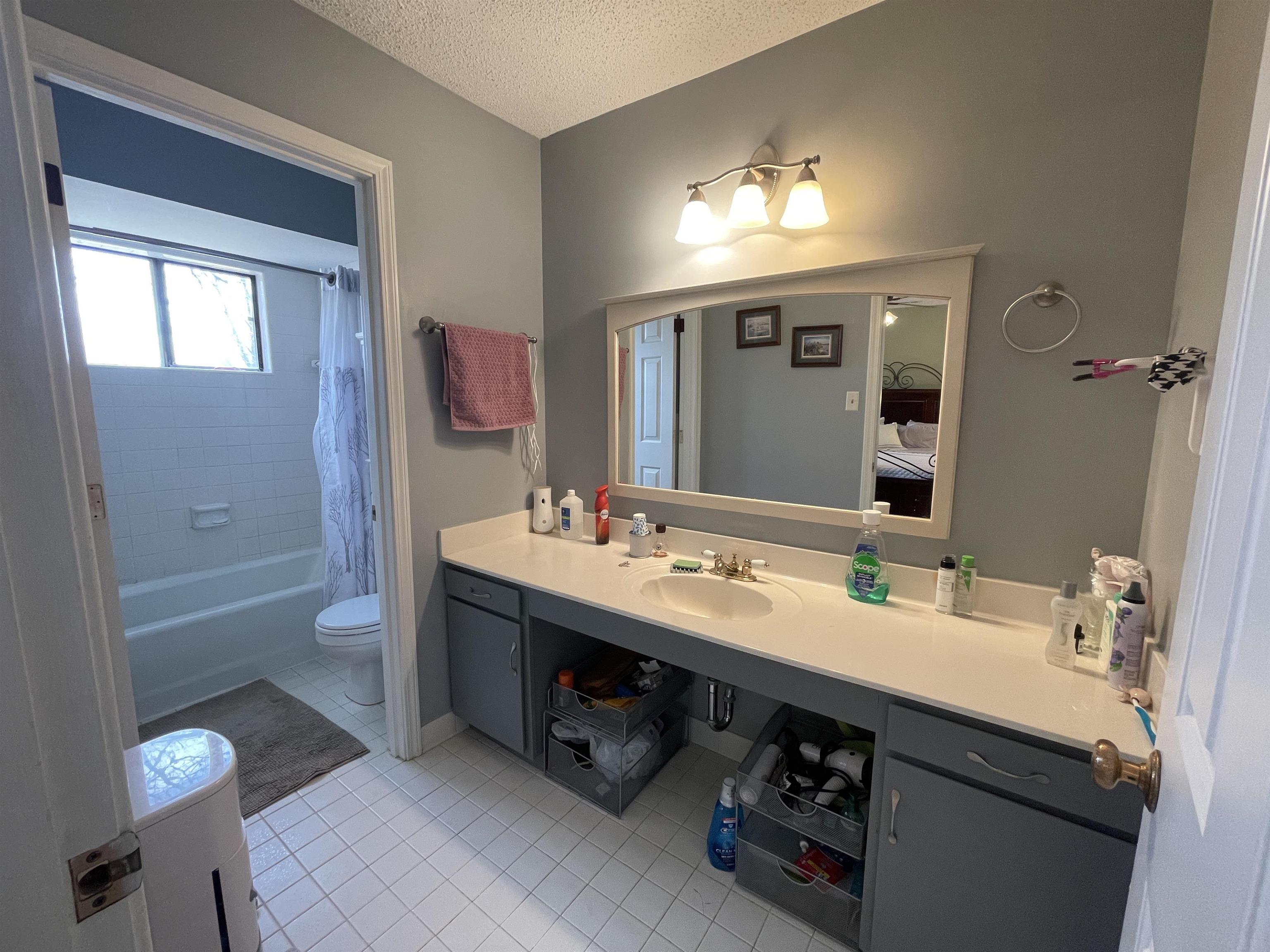 4580 Shadowlawn Road Bartlett, TN 38002 - Photo 21 of 37 a bathroom with a tub sink and mirror
