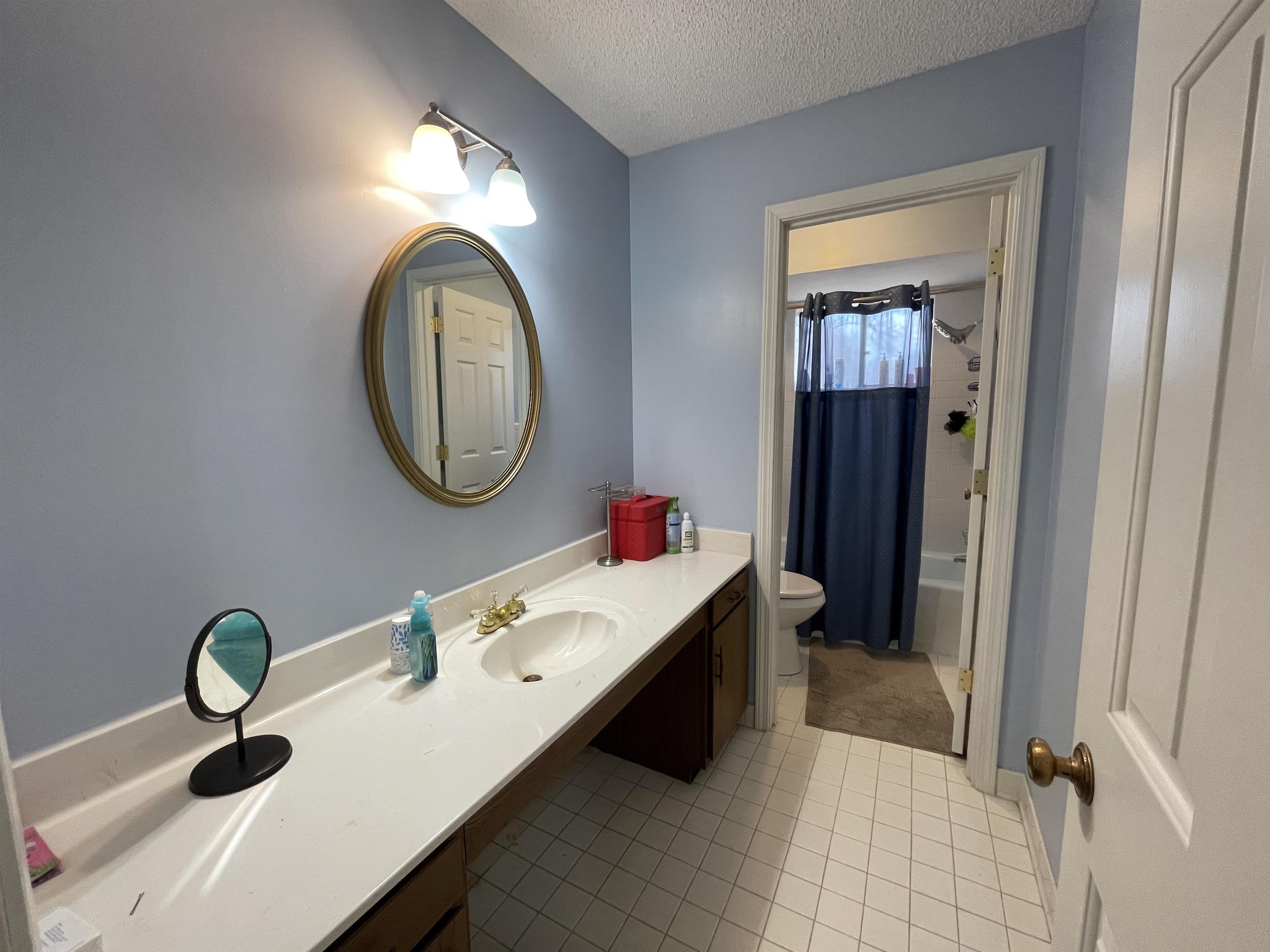 4580 Shadowlawn Road Bartlett, TN 38002 - Photo 27 of 37 a bathroom with a sink and a mirror