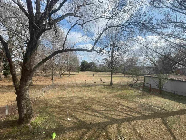 a view of yard with trees