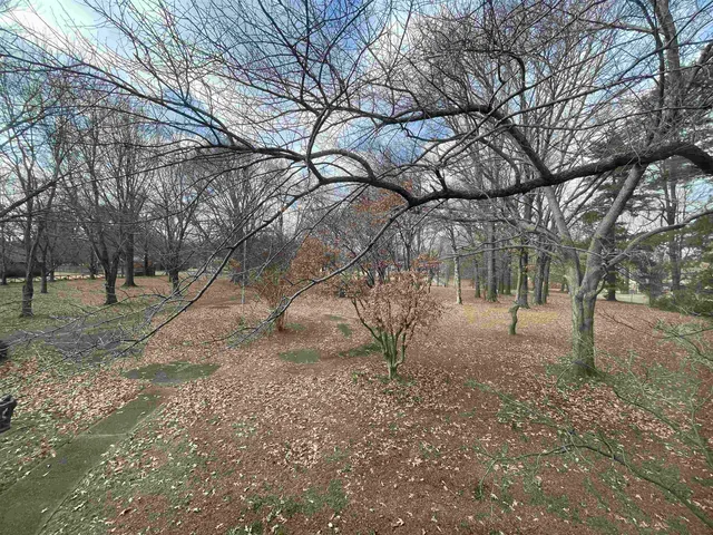 a view of a yard with a tree