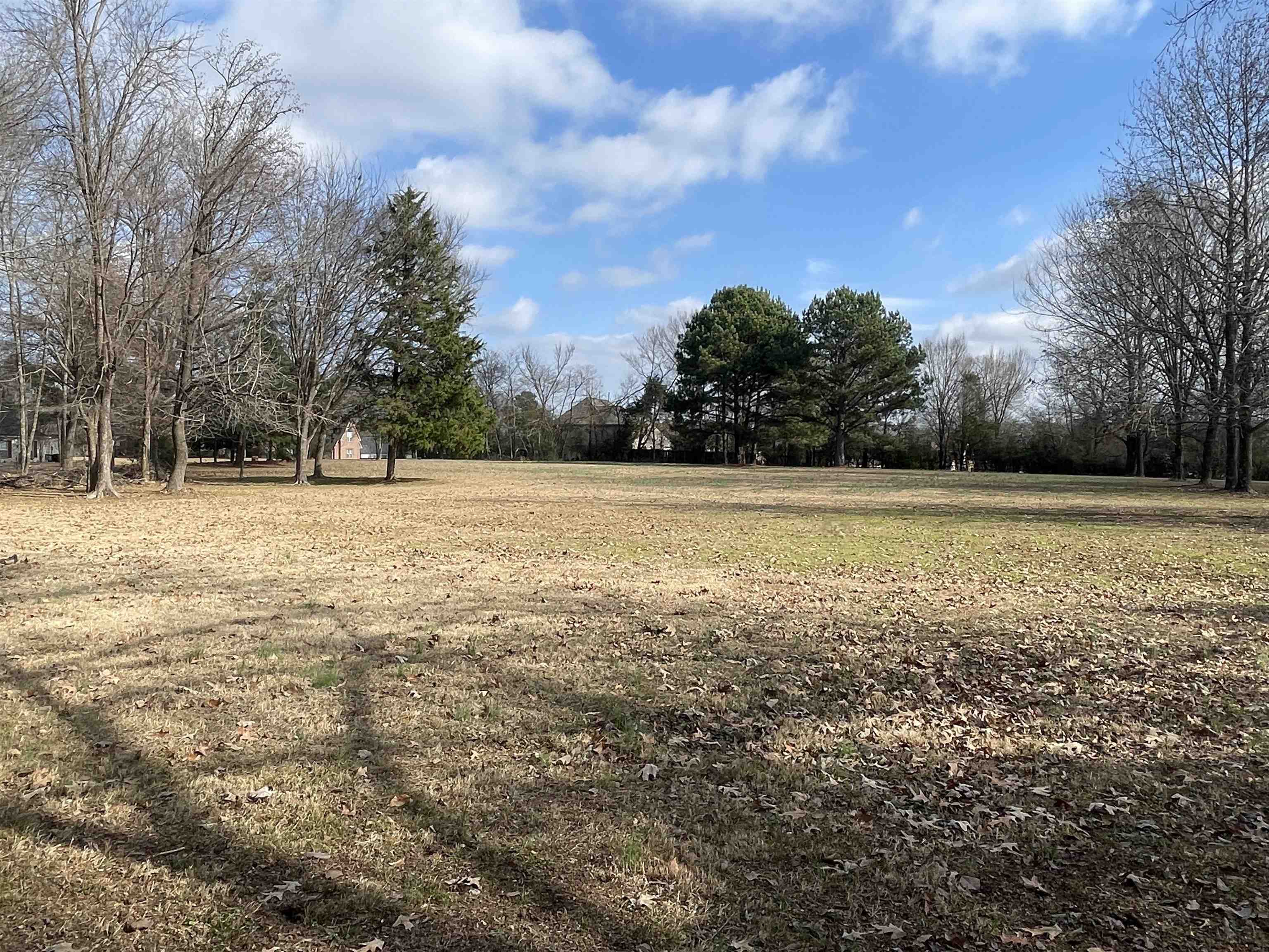 4580 Shadowlawn Road Bartlett, TN 38002 - Photo 34 of 37 a view of basketball court