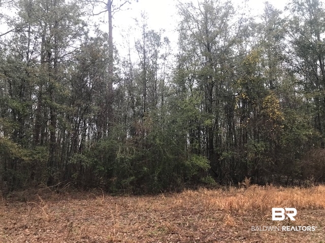 23588 Old Weekley Road Bay Minette, AL 36507 - Photo 24 of 30