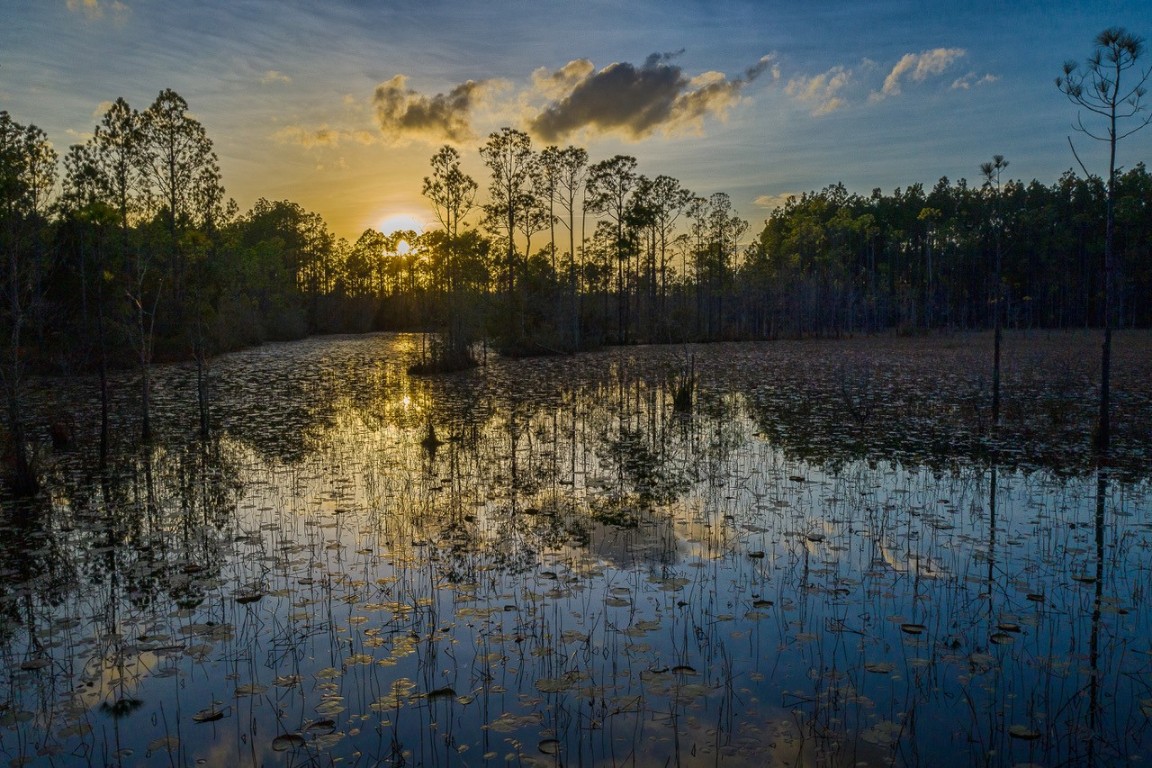 450 Slash Pine Place Yulee, FL 32097 - Photo 54 of 56